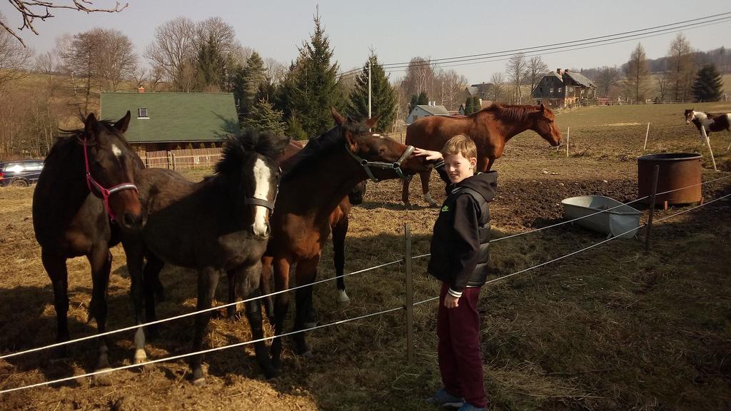 Country Club Konirna Hotel Šluknov Kültér fotó
